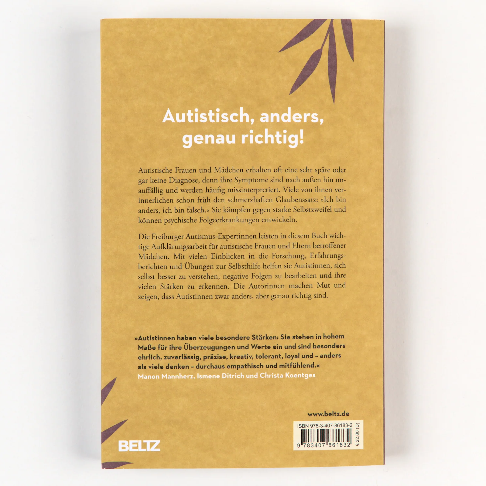 Vorschaubild 5