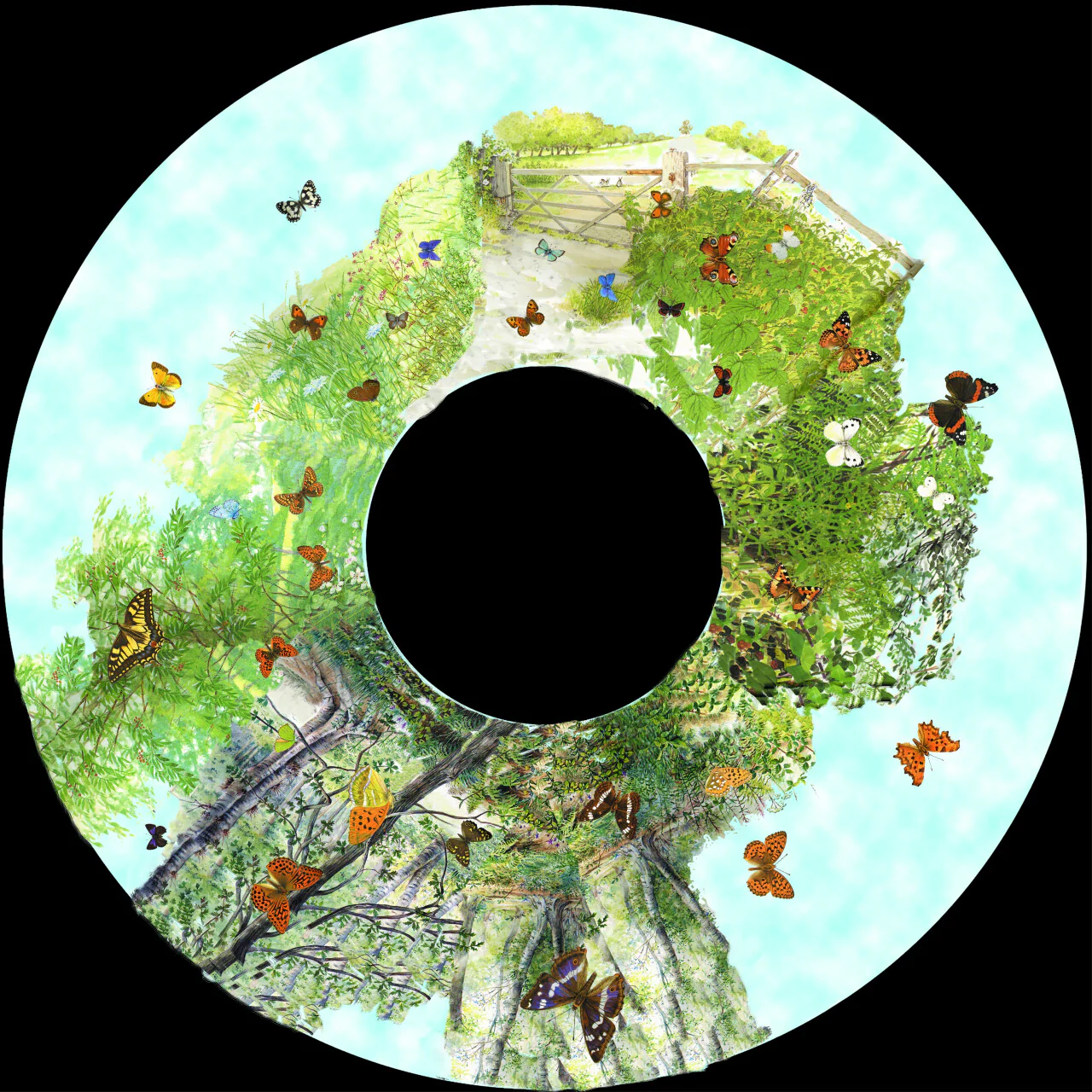 Vorschaubild 10