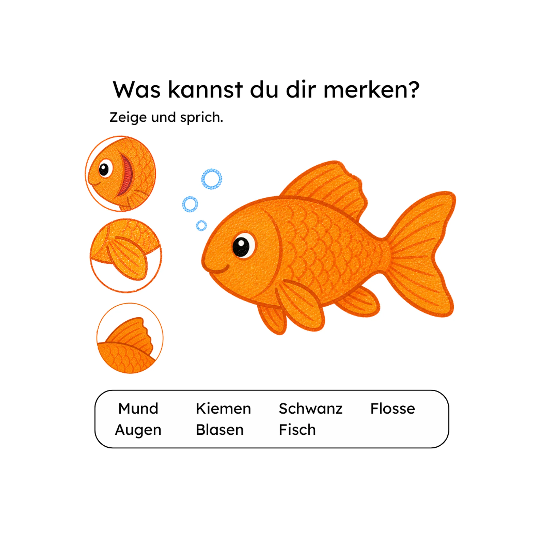 Vorschaubild 12
