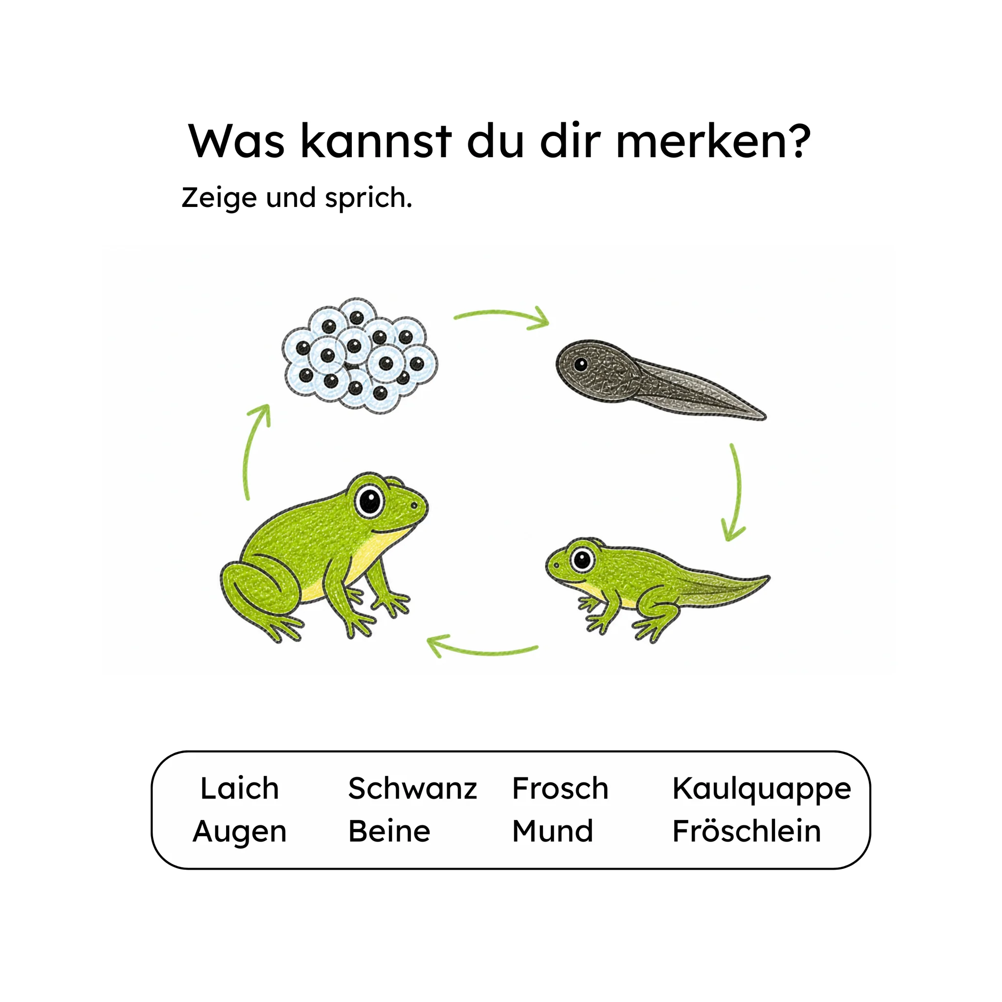 Vorschaubild 4