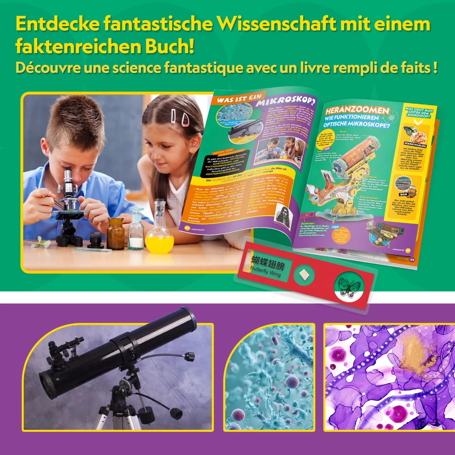 Vorschaubild 8